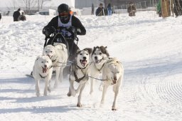 Lenk 2012 SM
